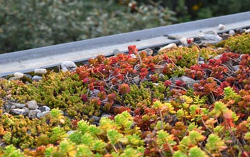 the cost of Birthorpe green roof installation